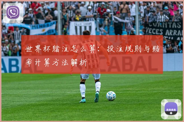 世界杯赌注怎么算：投注规则与赔率计算方法解析