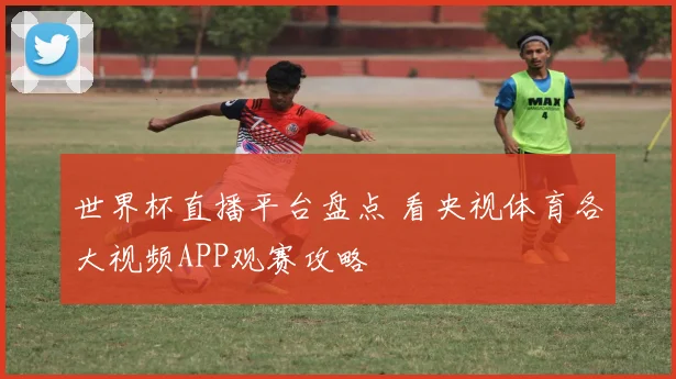 世界杯直播平台盘点 看央视体育各大视频APP观赛攻略