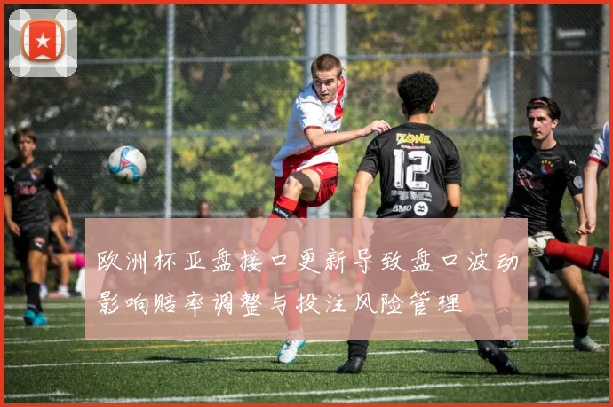 欧洲杯亚盘接口更新导致盘口波动影响赔率调整与投注风险管理