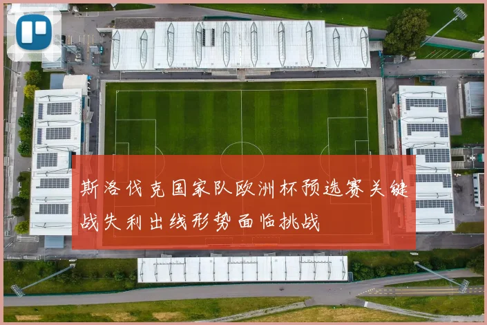 斯洛伐克国家队欧洲杯预选赛关键战失利出线形势面临挑战