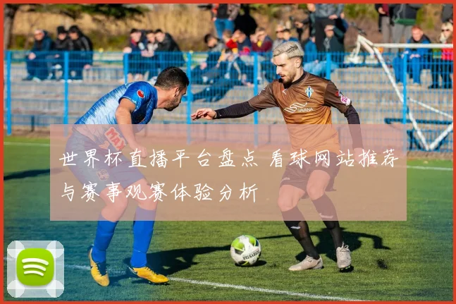 世界杯直播平台盘点 看球网站推荐与赛事观赛体验分析